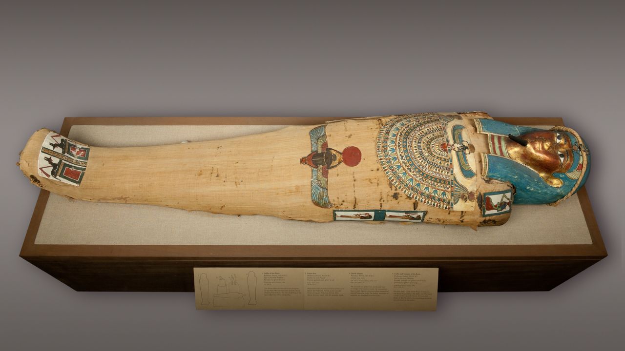 facts about egyptian mummies: mummy in a coffin